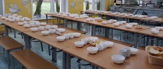 Правительство установило бесплатное питание для школьников младших классов