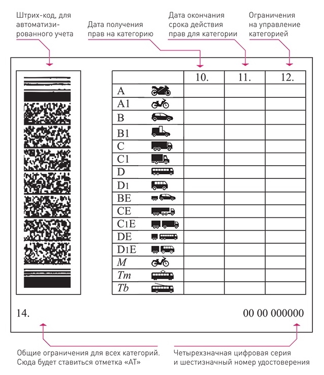 Водительское удостоверение нового образца